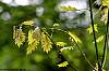 dsc00200_a.jpg