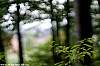 dsc00209_a.jpg