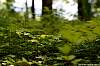 dsc00236.jpg