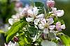 dsc00293_a.jpg