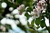 dsc00326_a1.jpg