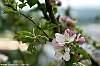 dsc00326_a.jpg