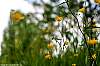 dsc00365.jpg