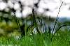 dsc00377_a.jpg