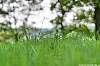 dsc00377.jpg