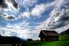 dsc_2109_7_8_tonemapped_1.jpg