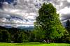 dsc_5520_1_2_tonemapped.jpg