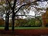 dscn2343.jpg