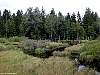 dscn3465.jpg