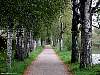 dscn3471.jpg