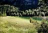 ferchensee_811_1024.jpg