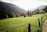 graseck_1062_1024.jpg