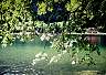 hintersee_887_1024.jpg